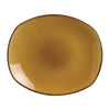 Steelite Terramesa Mustard Spice Plates 255mm (Pack of 24) - V7137 Steelite Performance Steelite   