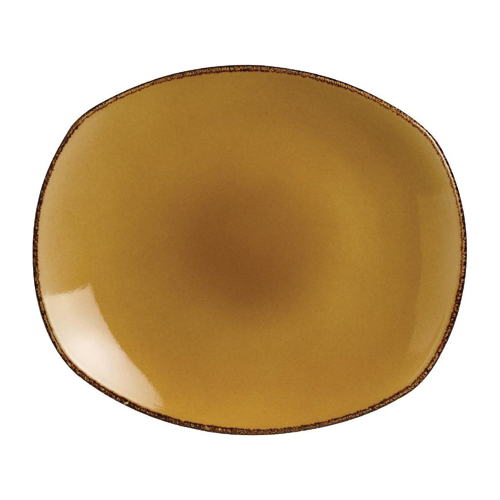 Steelite Terramesa Mustard Spice Plates 255mm (Pack of 24) - V7137 Steelite Performance Steelite   