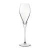 Utopia Monte Carlo Champagne Flutes 230ml (Pack of 24) - FB193 Champagne Glasses Utopia   