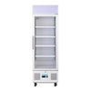 Polar Display Fridge 228 Ltr - DM075 Upright Single Door Bottle Coolers Polar   