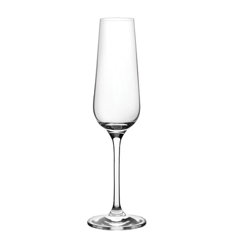 Rona Invitation Flutes 180ml (Pack of 6) - FH562 Champagne Glasses Utopia   