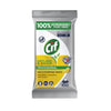 Cif Pro-Formula Antibac and Shine Biodegradable Surface Wipes (Pack of 4 x 100 Wipes) - GL956  Pro-Formula   