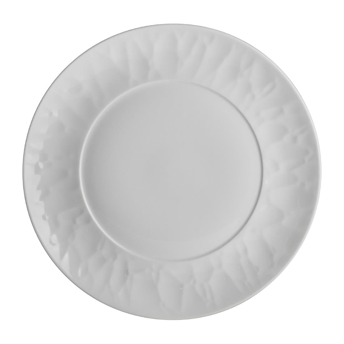 Steelite Atelier Plates 241mm (Pack of 24) - VV3736 Rene Ozorio Crockery Steelite   